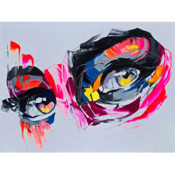 SANDRIX REPRODUCCION